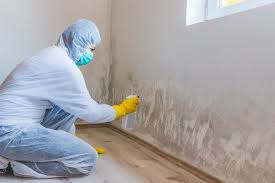 Best Biohazard Mold Removal in Norwood, NY