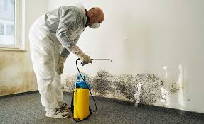 Best Mold Removal for HVAC Installations in Norwood, NY